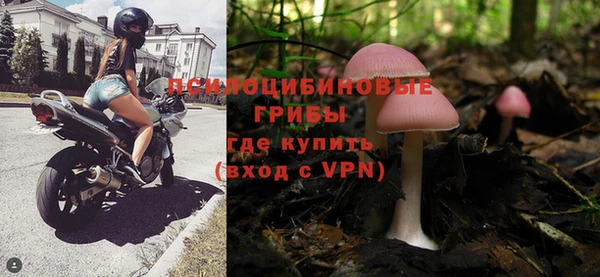 стаф Беломорск