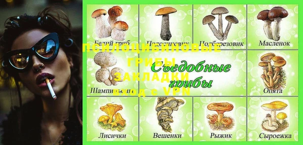 дмт Белоозёрский